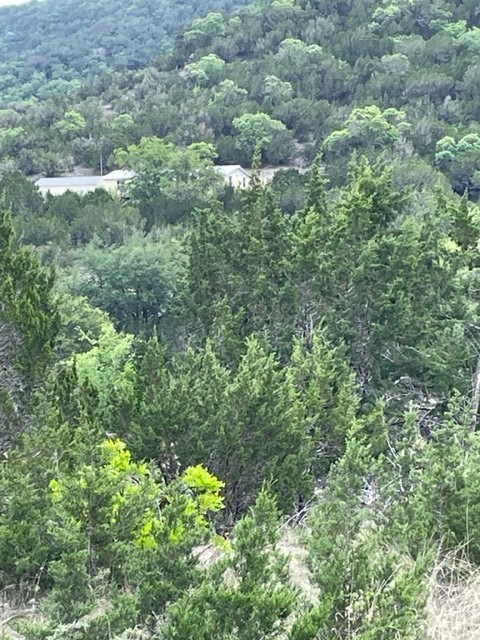 2250 Walter White Road Leakey, TX 78873 - Photo 3 of 21 an aerial view of residential house with outdoor space and trees all around
