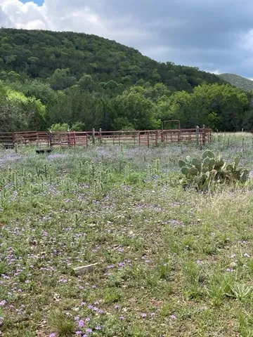 a view of a lake with a big yard