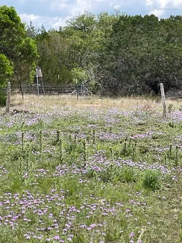 a view of an outdoor space and deck