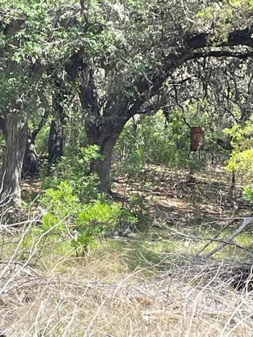 a view of a dry yard with wooden fence