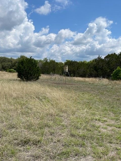 2250 Walter White Road Leakey, TX 78873 - Photo 9 of 21 a view of an outdoor space and a yard
