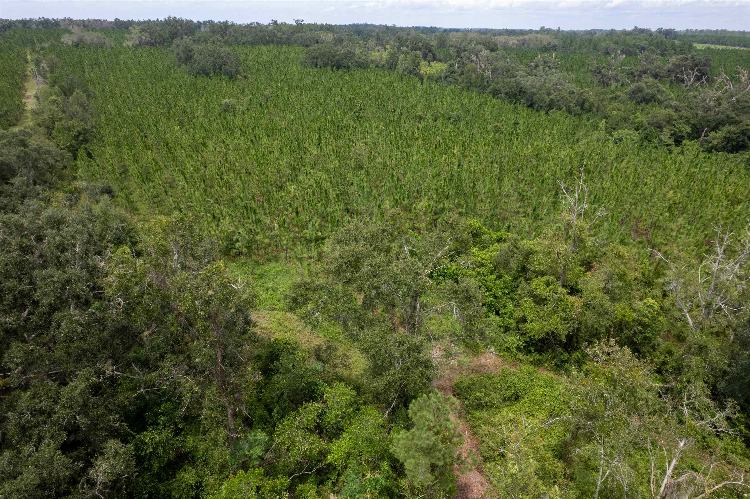 Xxx Northeast Geranium Street Madison, FL 32340 - Photo 12 of 24