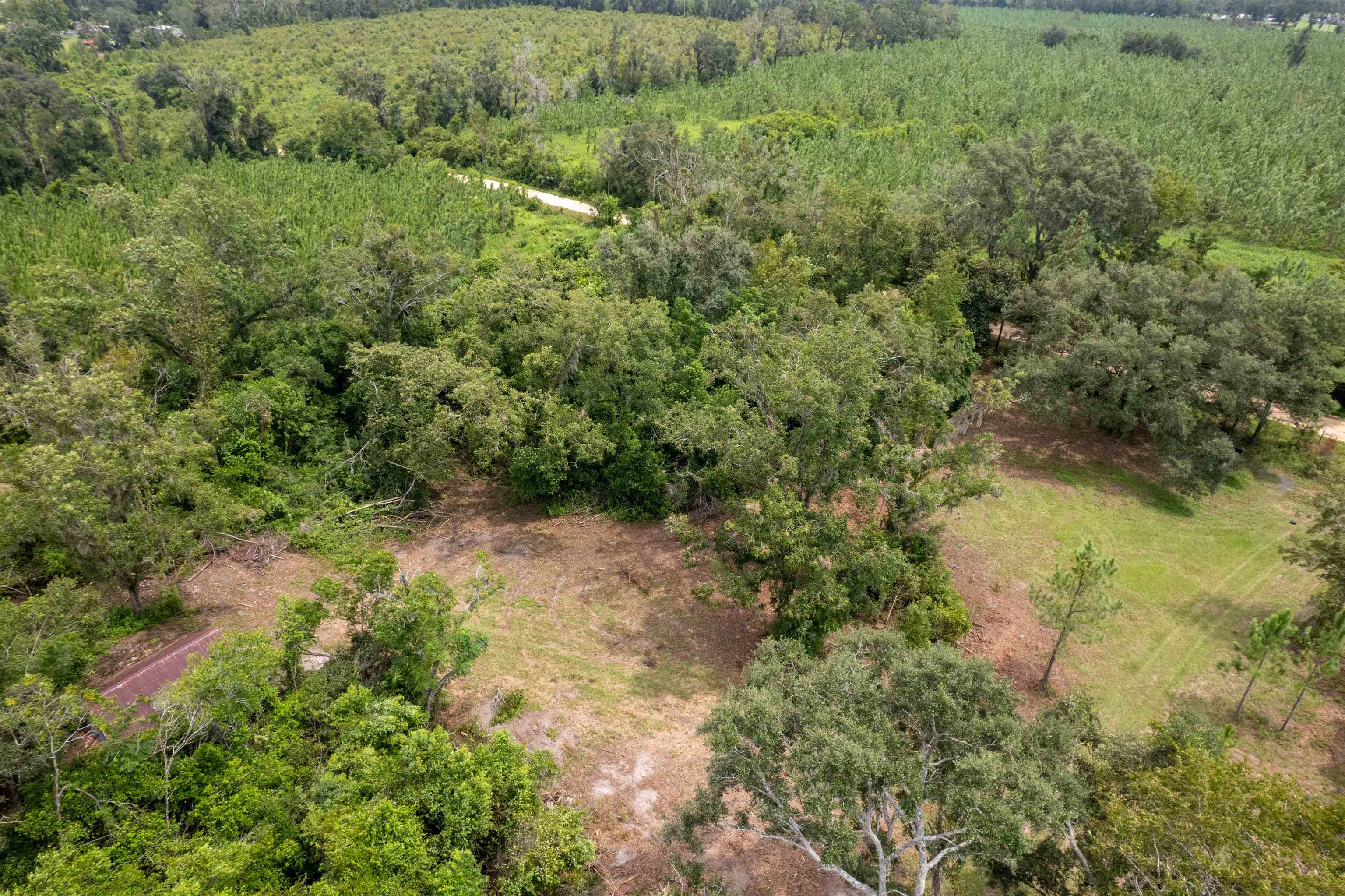 Xxx Northeast Geranium Street Madison, FL 32340 - Photo 13 of 24