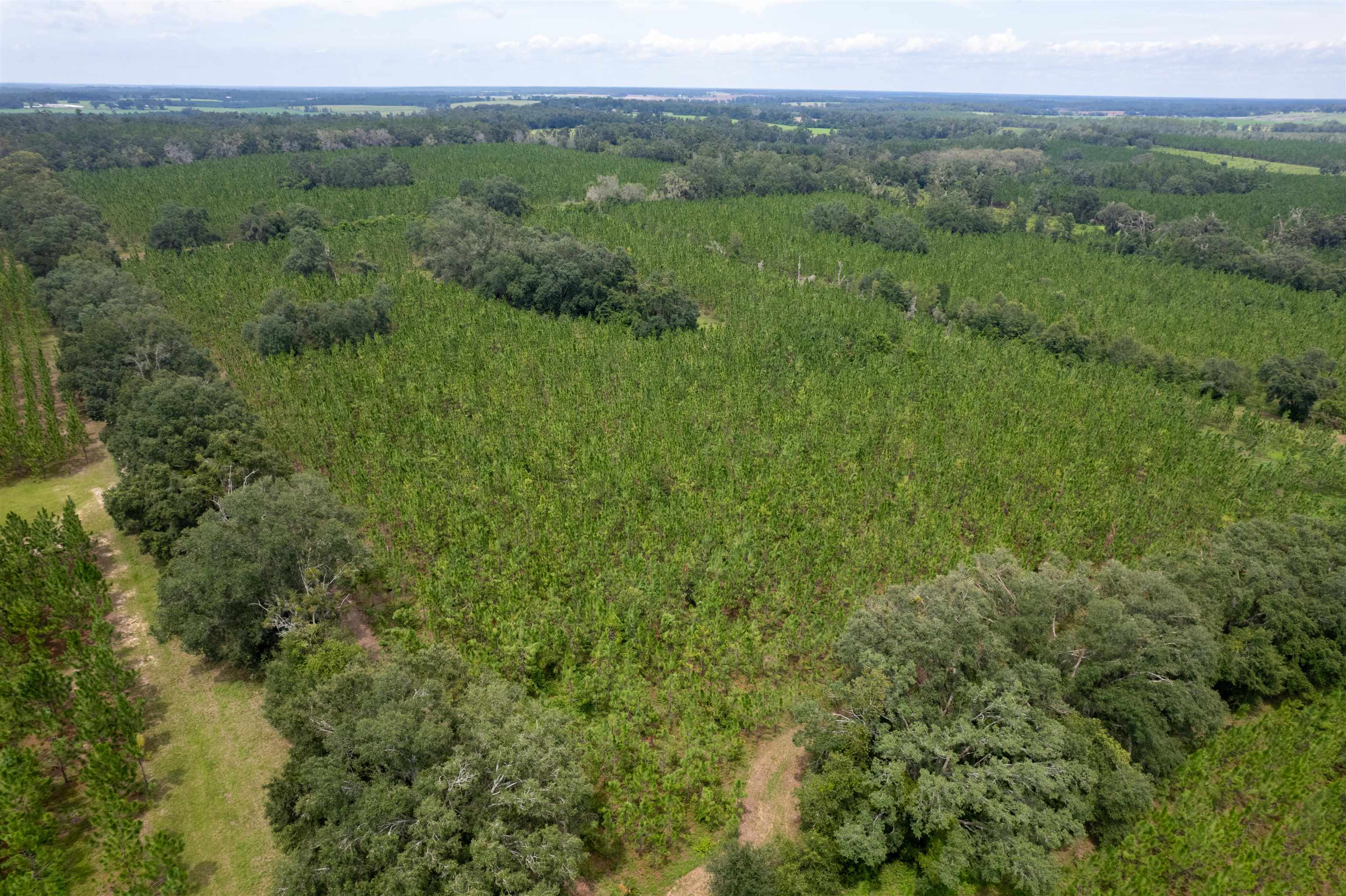 Xxx Northeast Geranium Street Madison, FL 32340 - Photo 16 of 24