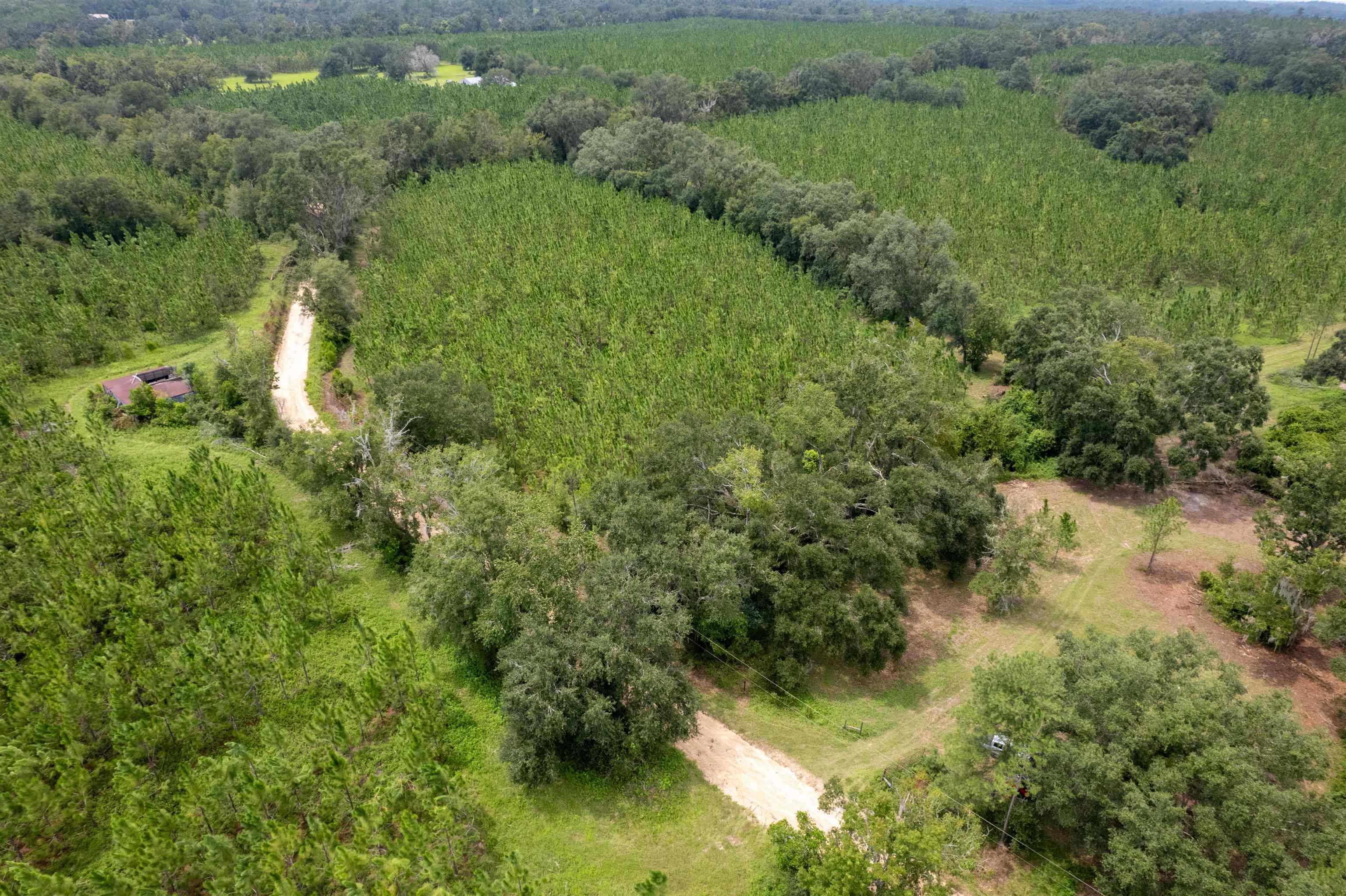 Xxx Northeast Geranium Street Madison, FL 32340 - Photo 21 of 24