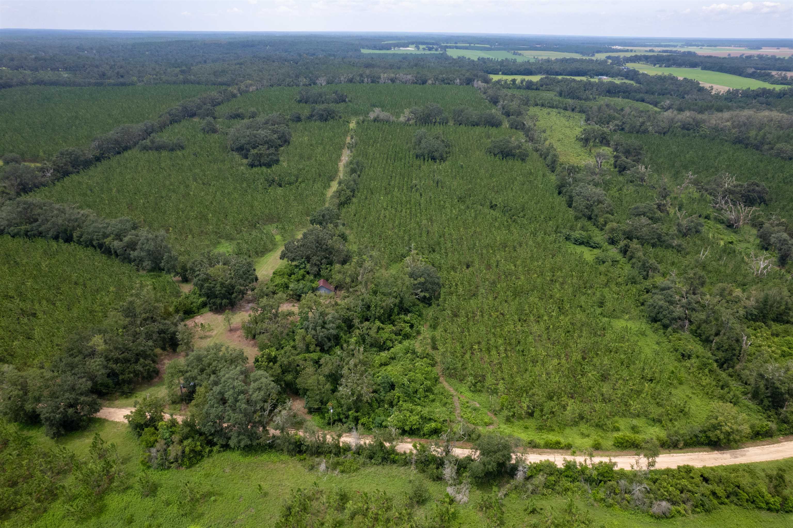 Xxx Northeast Geranium Street Madison, FL 32340 - Photo 22 of 24