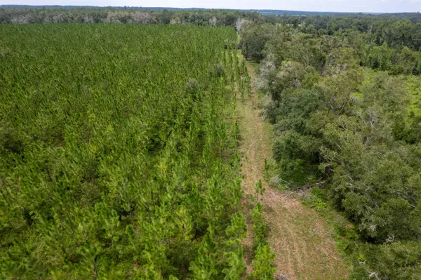 $760,000 | Xxx Northeast Geranium Street, Madison, FL 32340