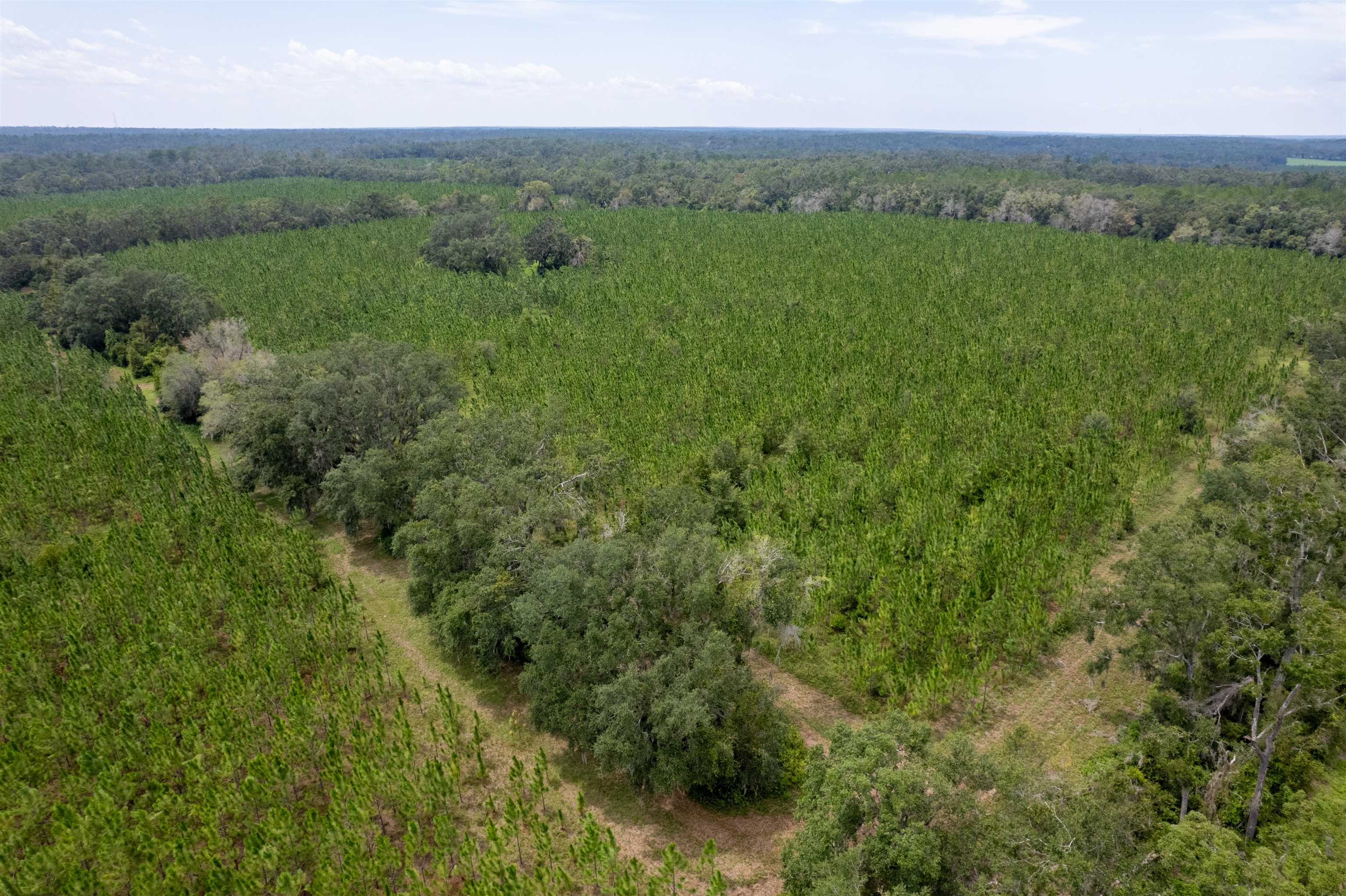 Xxx Northeast Geranium Street Madison, FL 32340 - Photo 5 of 24