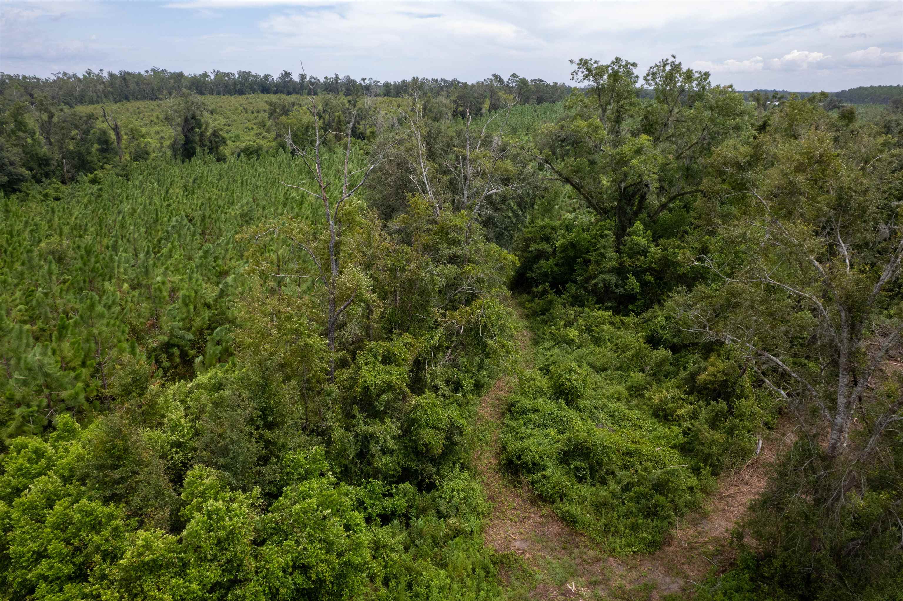 Xxx Northeast Geranium Street Madison, FL 32340 - Photo 10 of 24