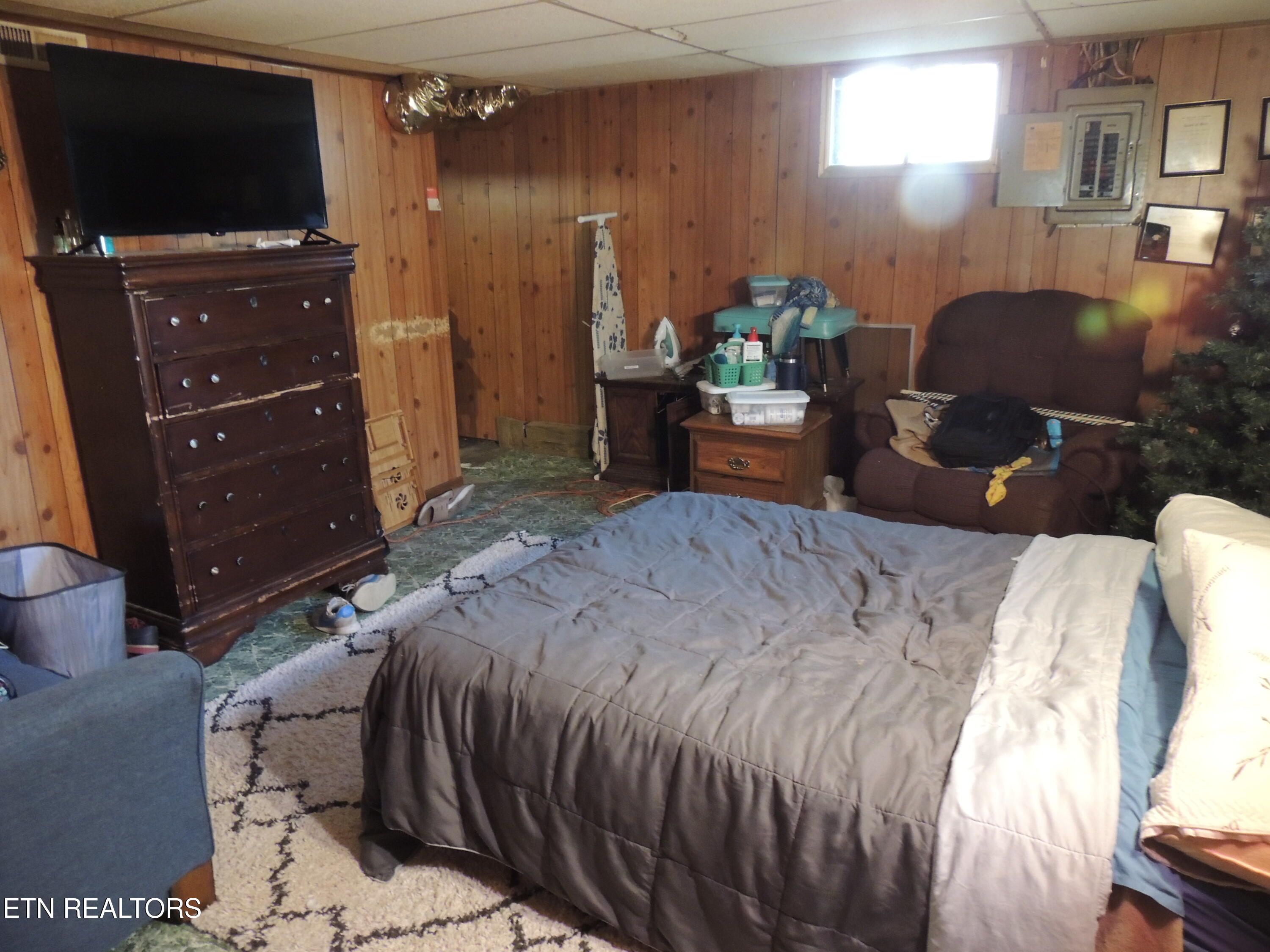 3227 George Light Road Knoxville, TN 37931 - Photo 15 of 24 Basement Bedroom
