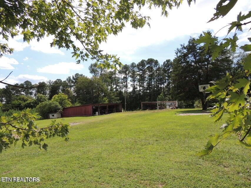 3227 George Light Road Knoxville, TN 37931 - Photo 17 of 24 Rear Lot