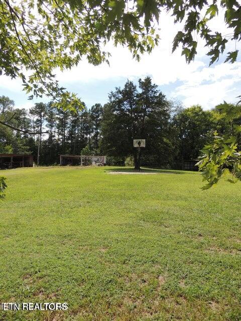 3227 George Light Road Knoxville, TN 37931 - Photo 23 of 24 Rear Lot