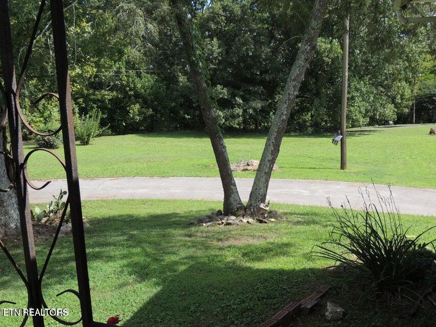 3227 George Light Road Knoxville, TN 37931 - Photo 3 of 24 View to the side yard