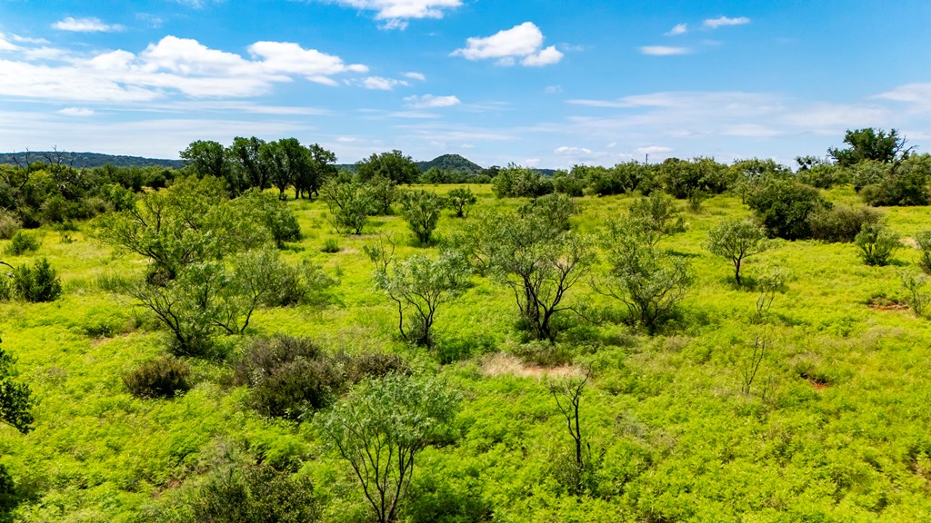 0 Jack Rabbit Road Doss, TX 78618 - Photo 20 of 20