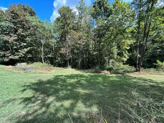 a fire hydrant in the middle of a field