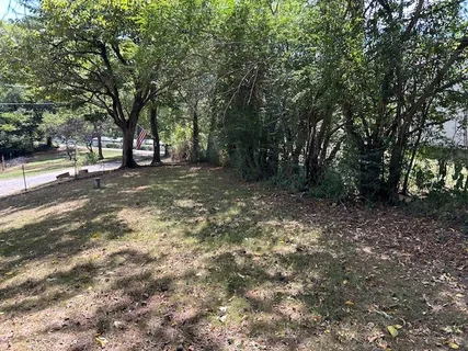 a view of a forest with trees in the background
