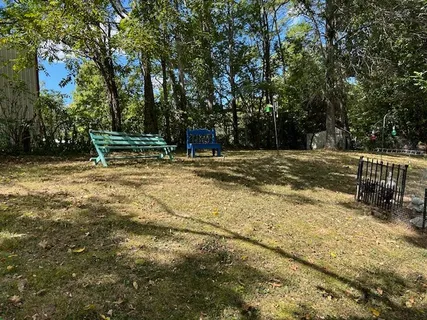 a view of backyard with trees