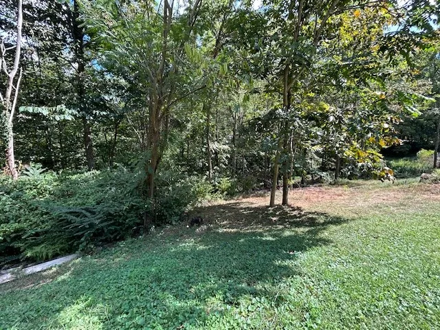 a view of outdoor space and yard
