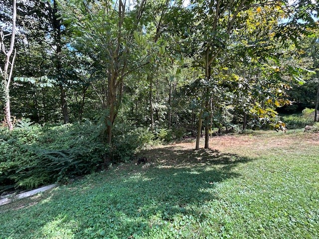 3966 Perkins Road Thompson's Station, TN 37179 - Photo 9 of 10 a view of outdoor space and yard