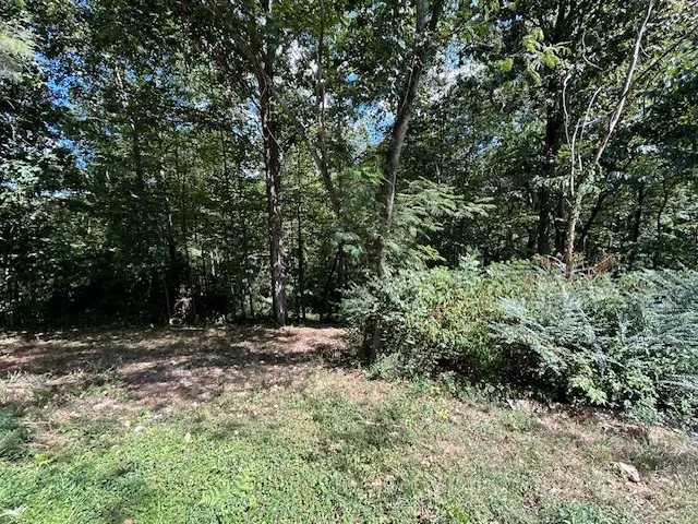 a view of outdoor space with trees all around