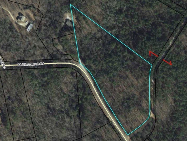 0 Stribling Shoals Road Walhalla, SC 29691 - Photo 6 of 6 Gallery Image 6