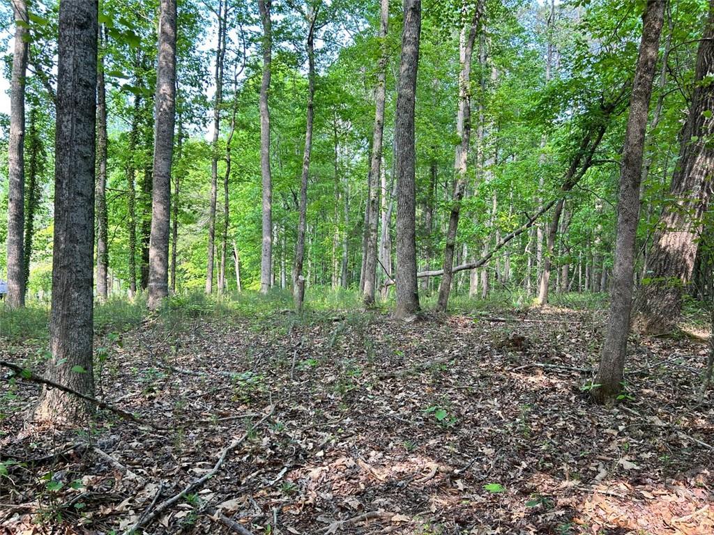 5219 Union Hill Road Alpharetta, GA 30004 - Photo 5 of 13 a view of outdoor space and green space