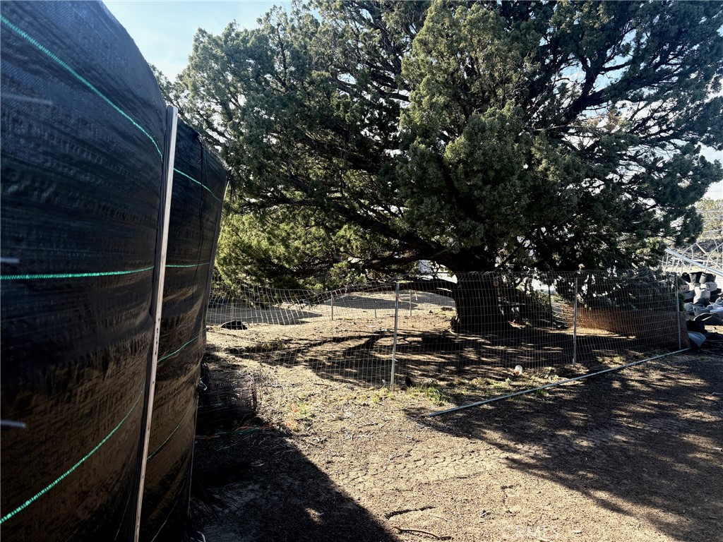 17 Lot 17 Jennie Montague, CA 96064 - Photo 2 of 10 a backyard of a house with lots of trees