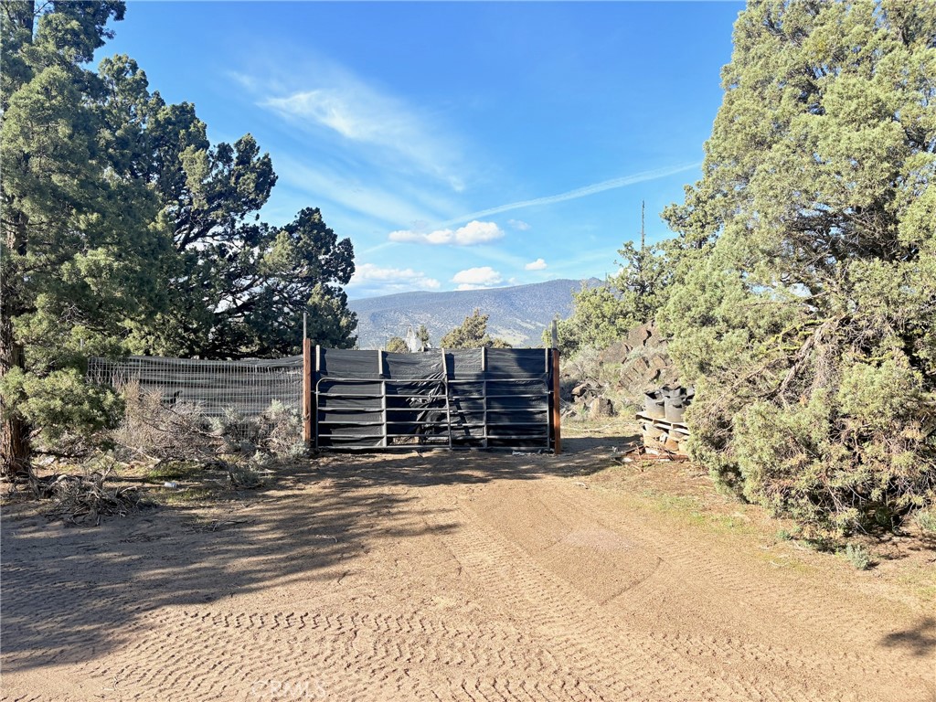 17 Lot 17 Jennie Montague, CA 96064 - Photo 9 of 10