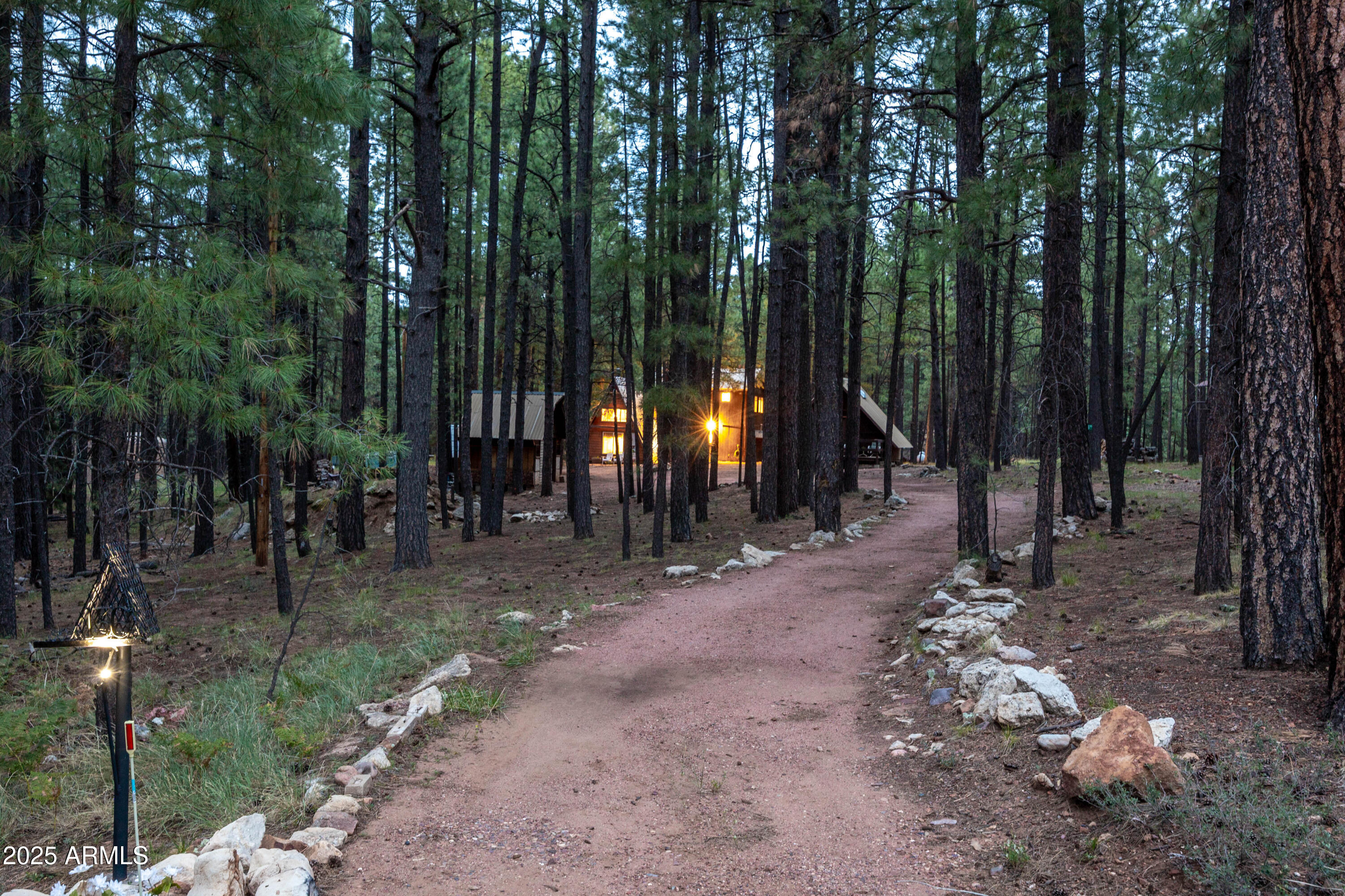 1643 Rifle Way Forest Lakes, AZ 85931 - Photo 2 of 40 a view of outdoor space with trees