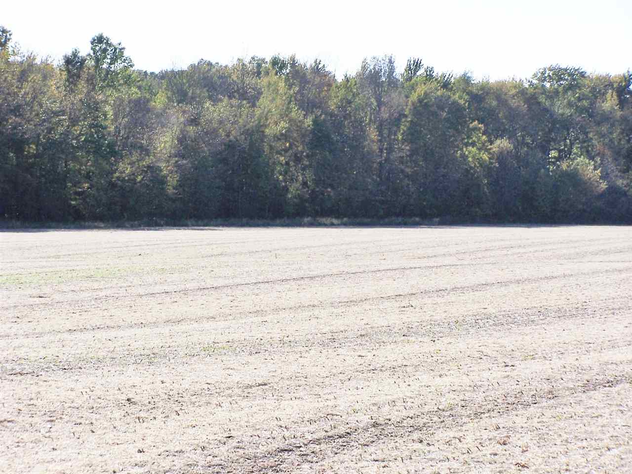 900 S Road Fort Branch, IN 47648 - Photo 1 of 3
