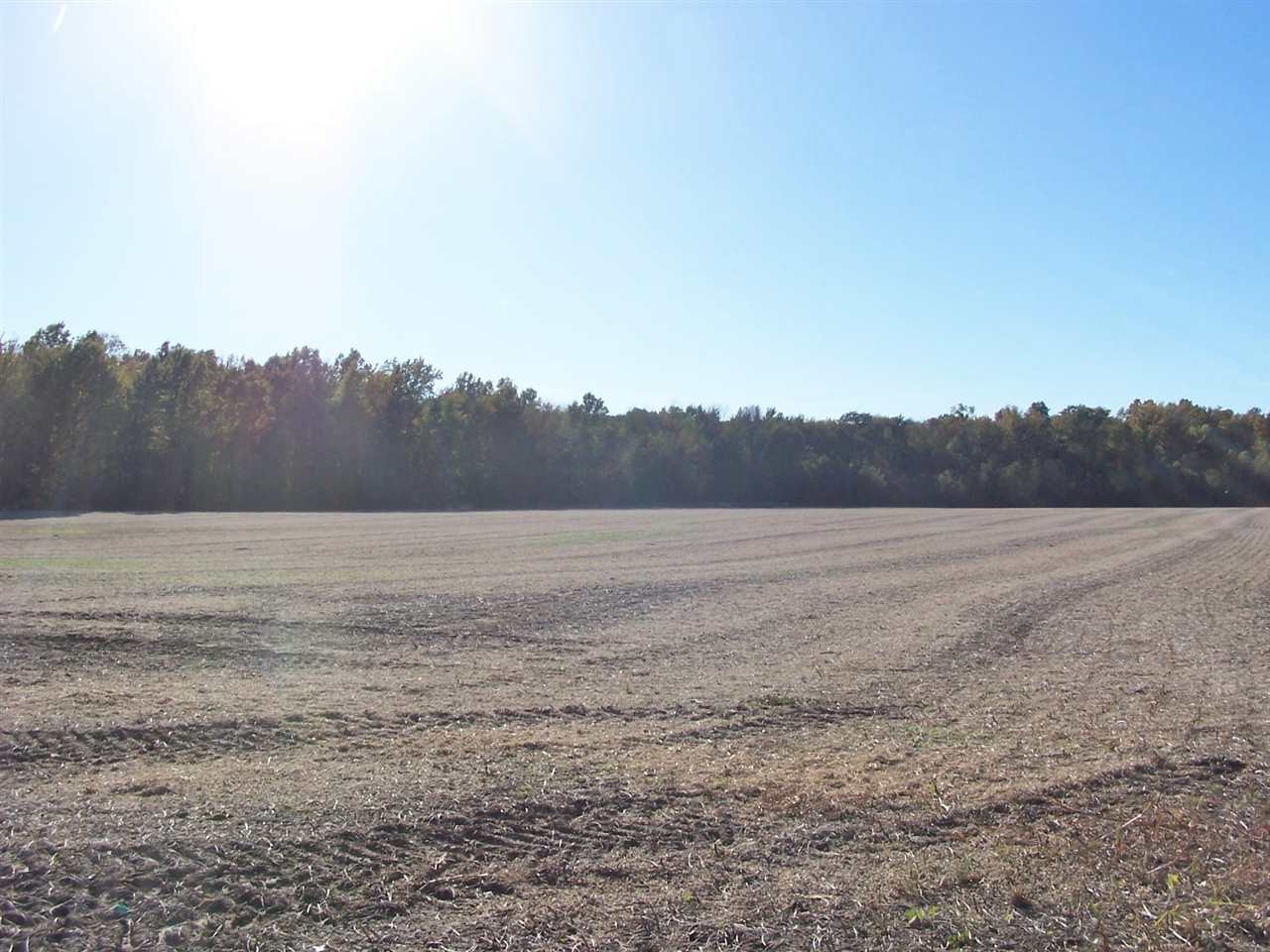 900 S Road Fort Branch, IN 47648 - Photo 2 of 3