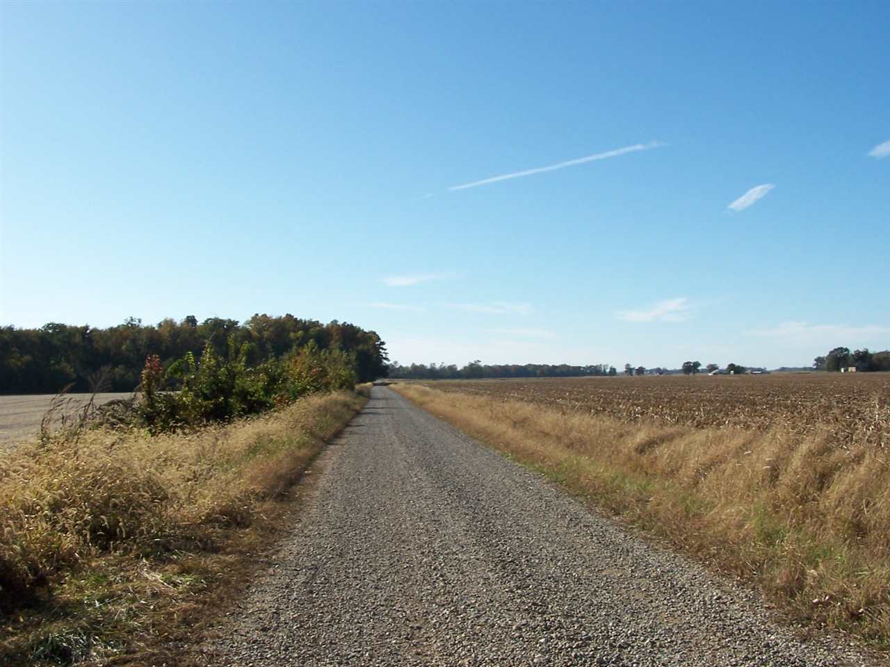 900 S Road Fort Branch, IN 47648 - Photo 3 of 3