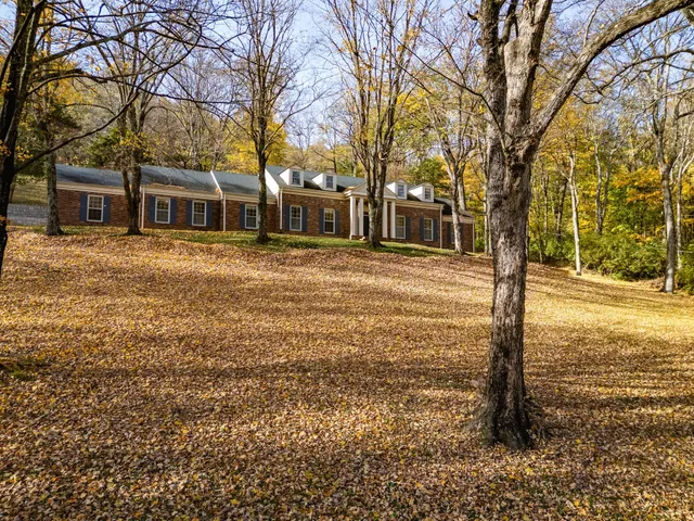 a tree in front of a brick building with large trees