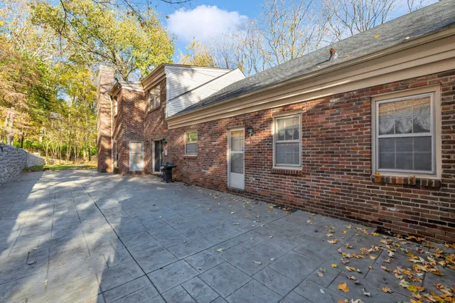 a view of a garden with a tree