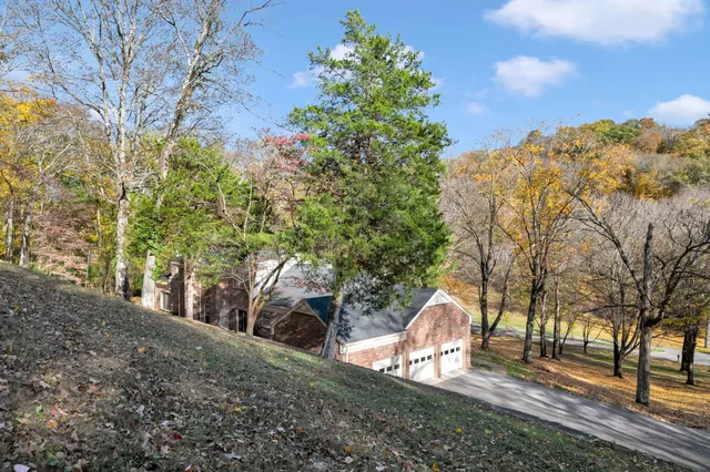 a view of a yard with large trees