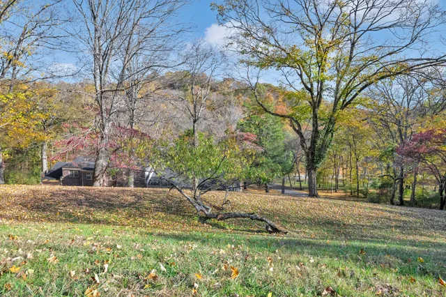 a view of a yard with wooden fence