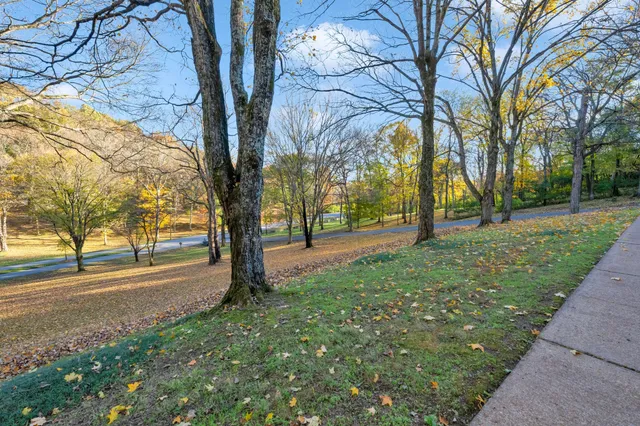 a view of road with tree