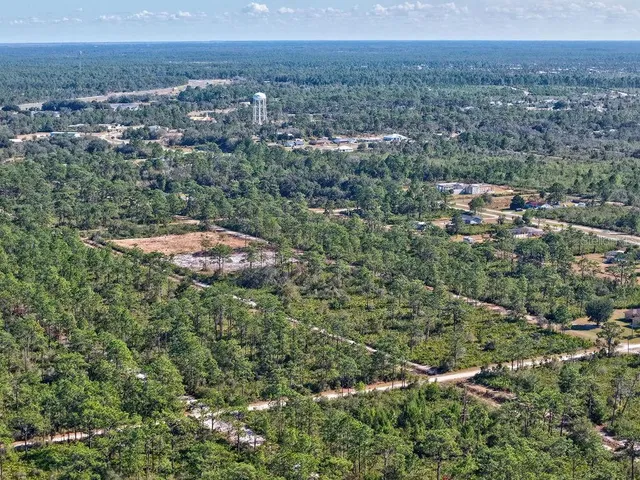 an aerial view of residential house with outdoor space and trees