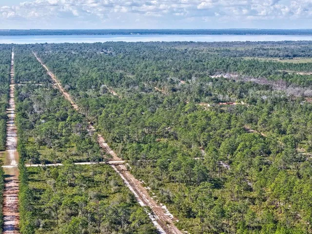 a view of a forest with a houses