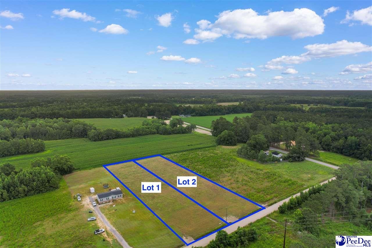 Lot B Pleasant View Church Road Nichols, SC 29581 - Photo 1 of 8 Gallery Image 1