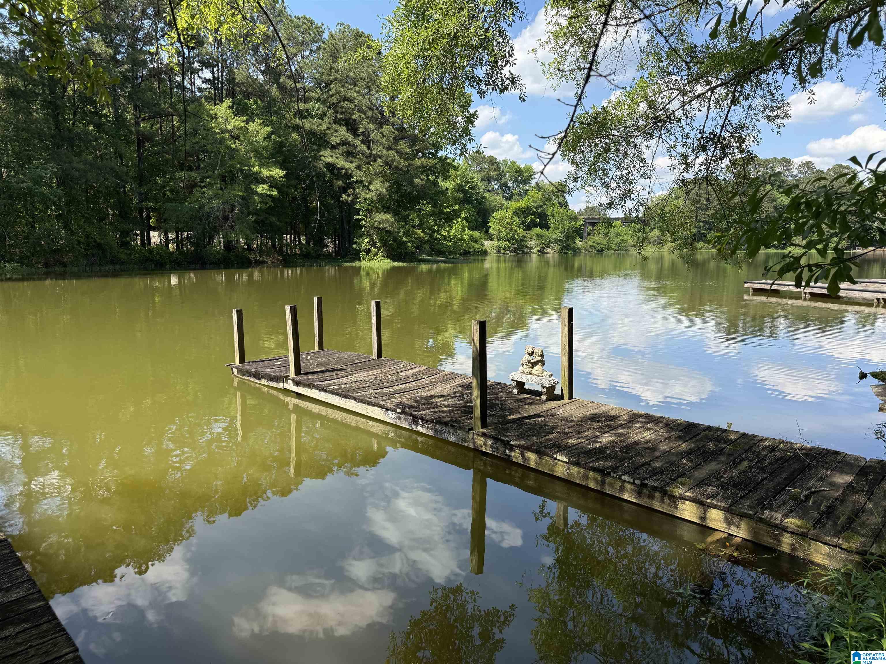 311 Seddon Road Riverside, AL 35135 - Photo 2 of 13
