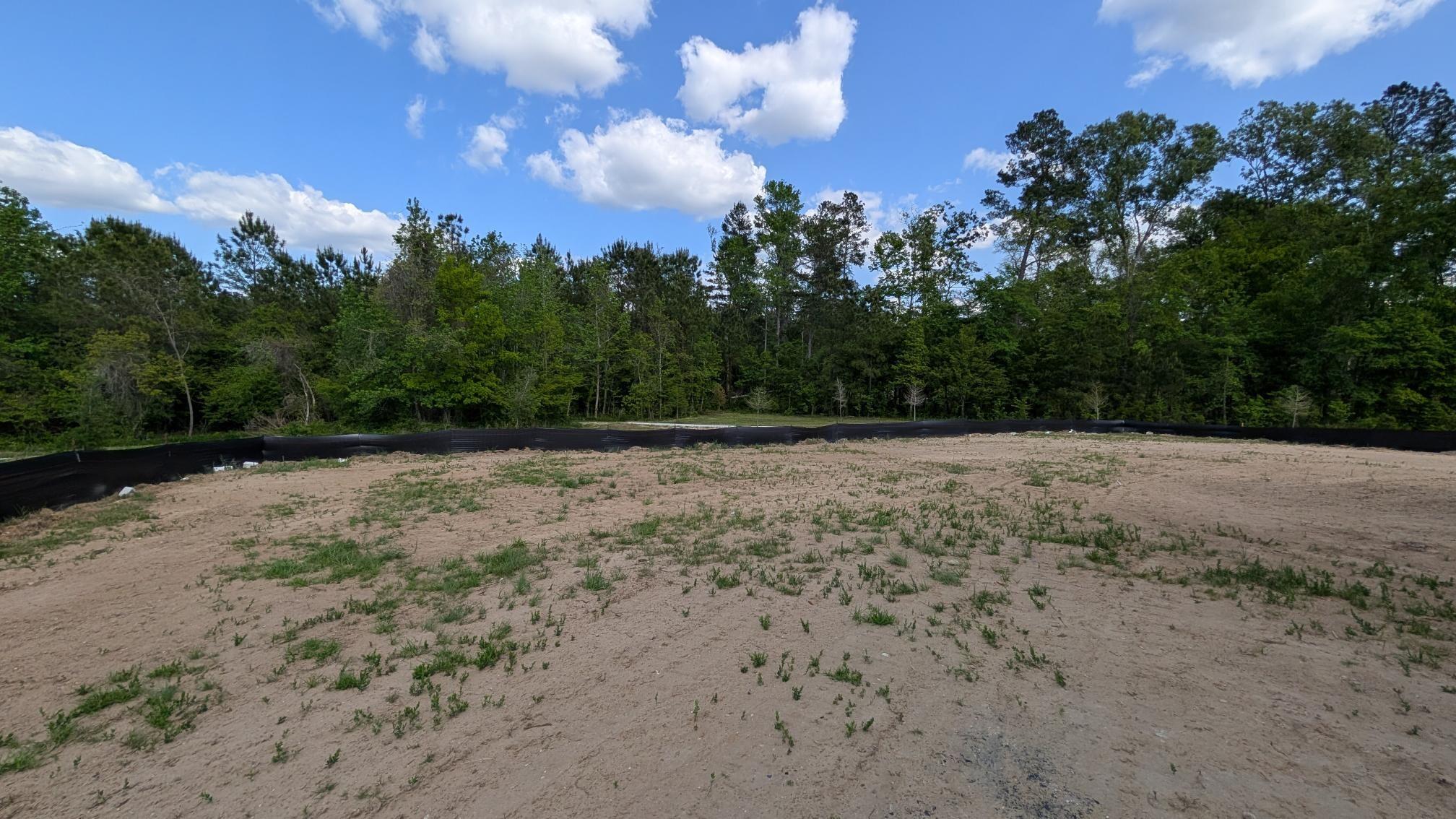 336 Palfrey Drive Ridgeville, SC 29472 - Photo 4 of 15 View from Backyard