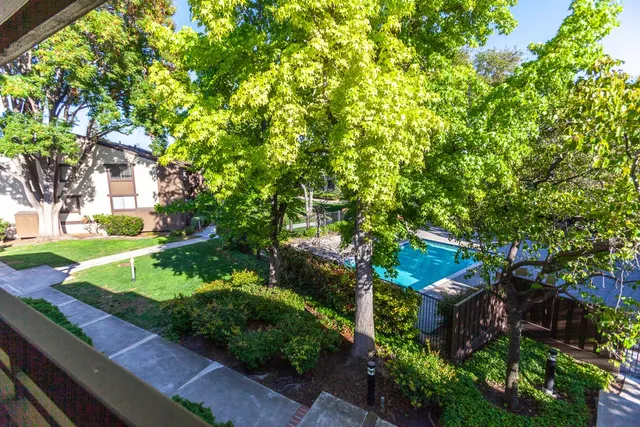 a view of a garden with plants