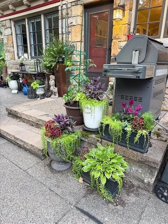 a view of backyard with seating space and trees
