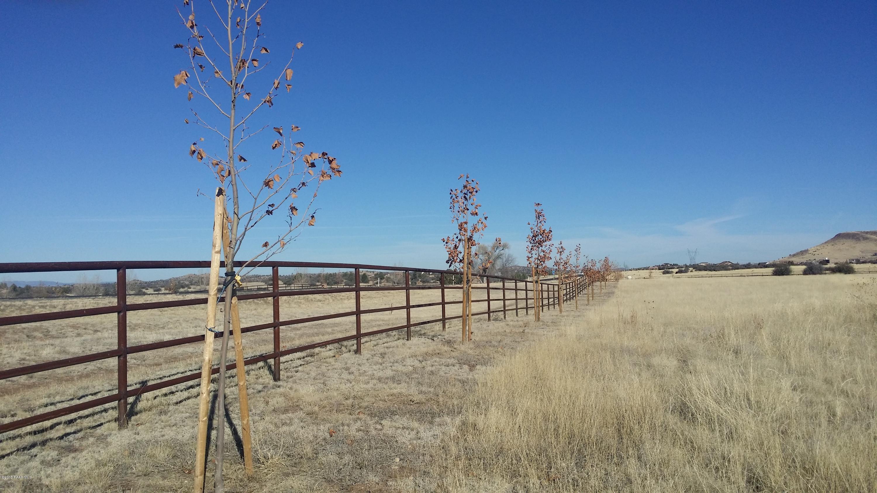 9830 North Equine Road Prescott, AZ 86305 - Photo 11 of 58 Trees- Will be great in Summer!
