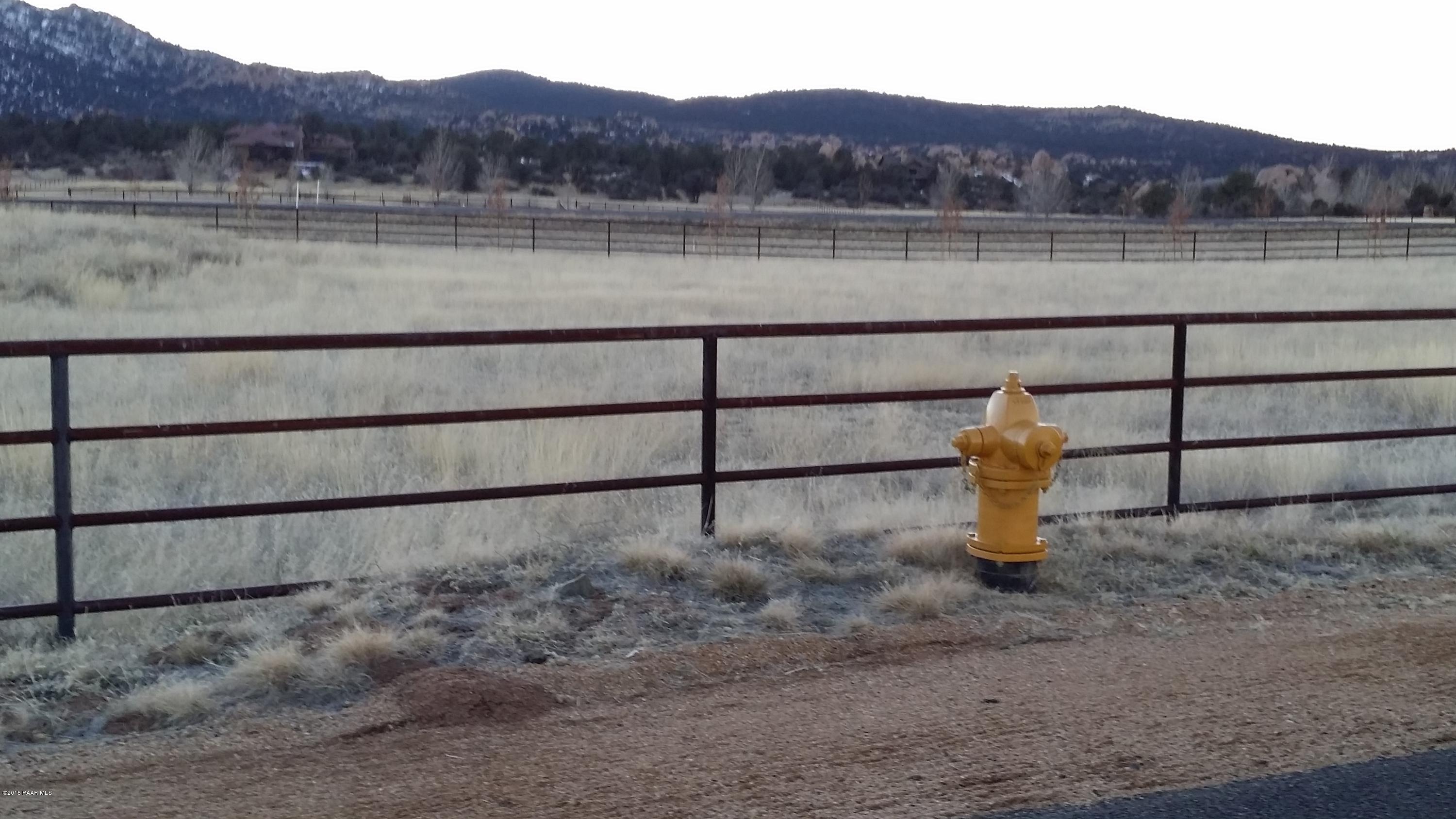 9830 North Equine Road Prescott, AZ 86305 - Photo 15 of 58 Fire Hydrant out front