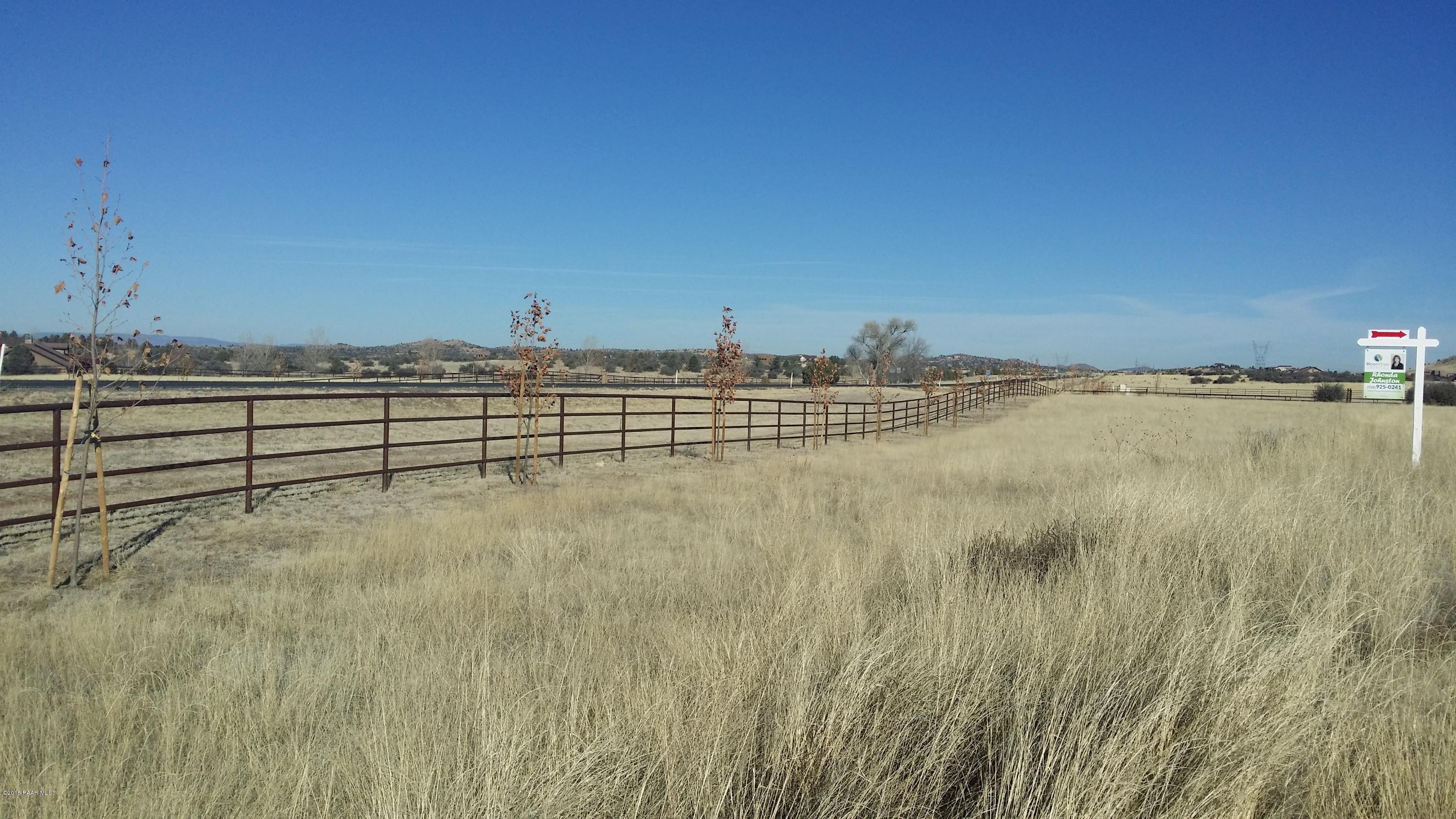 9830 North Equine Road Prescott, AZ 86305 - Photo 10 of 58 Tree lined border to West