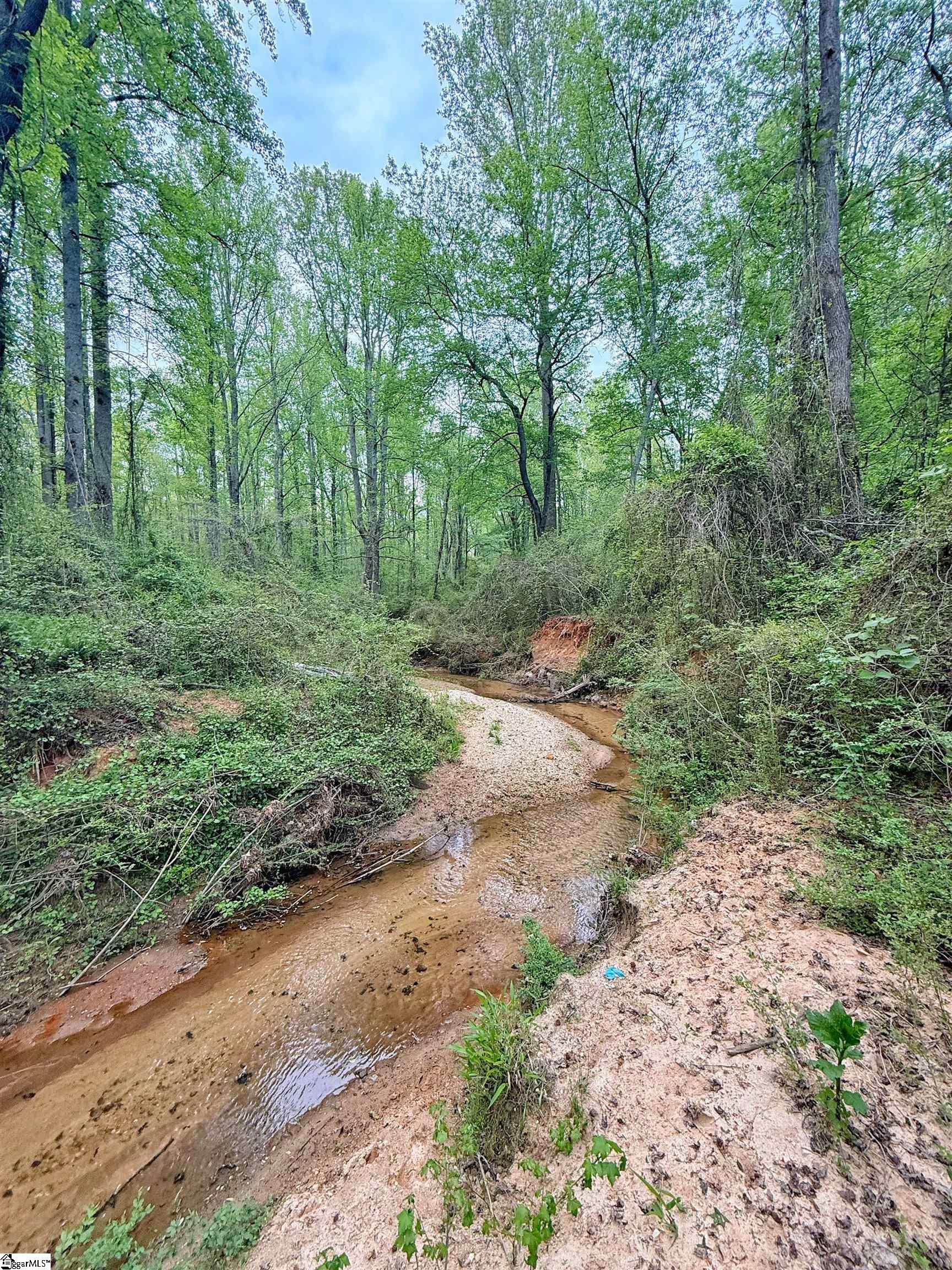 0 Hester Store Road Easley, SC 29640 - Photo 2 of 13