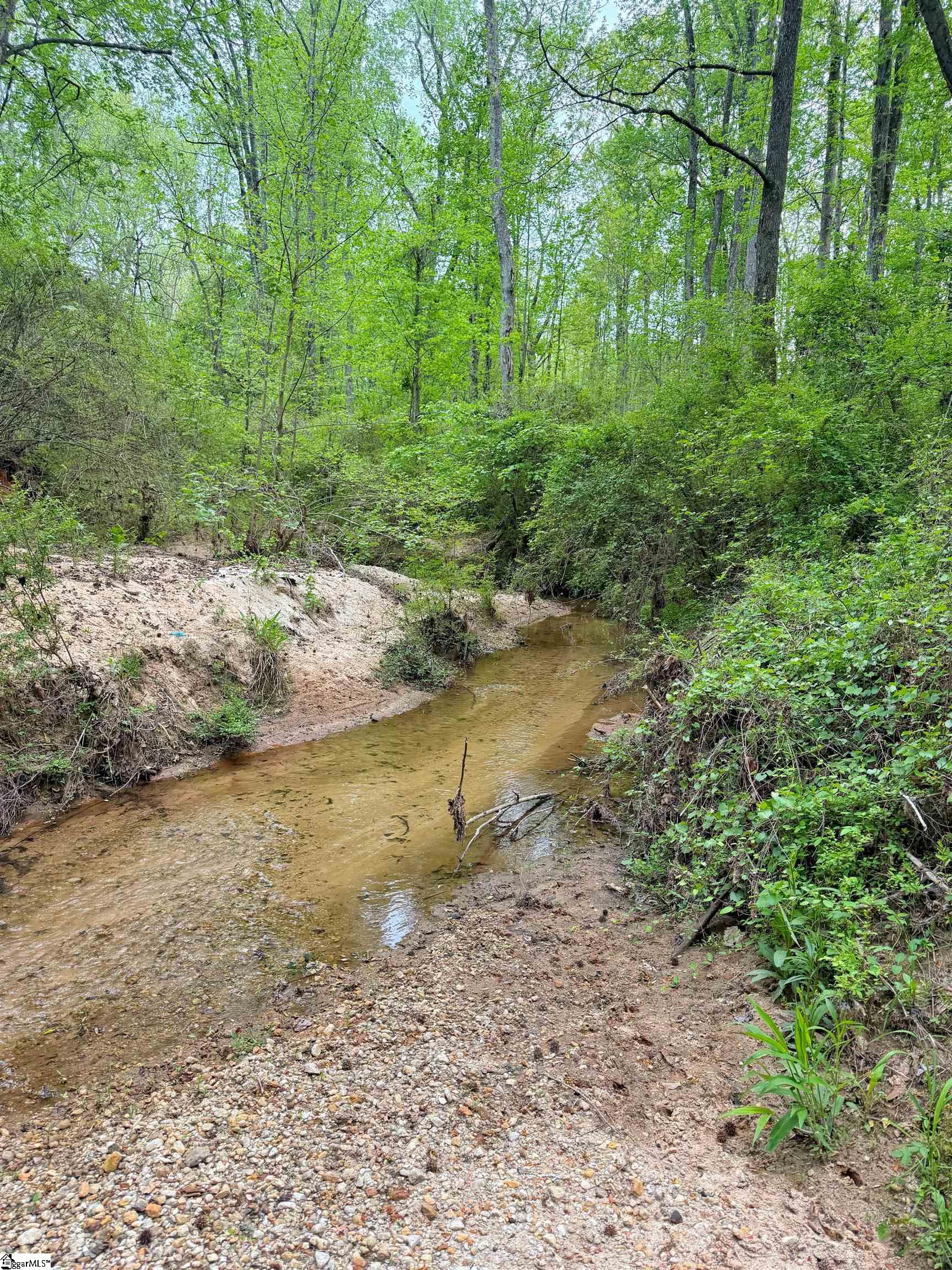 0 Hester Store Road Easley, SC 29640 - Photo 5 of 13