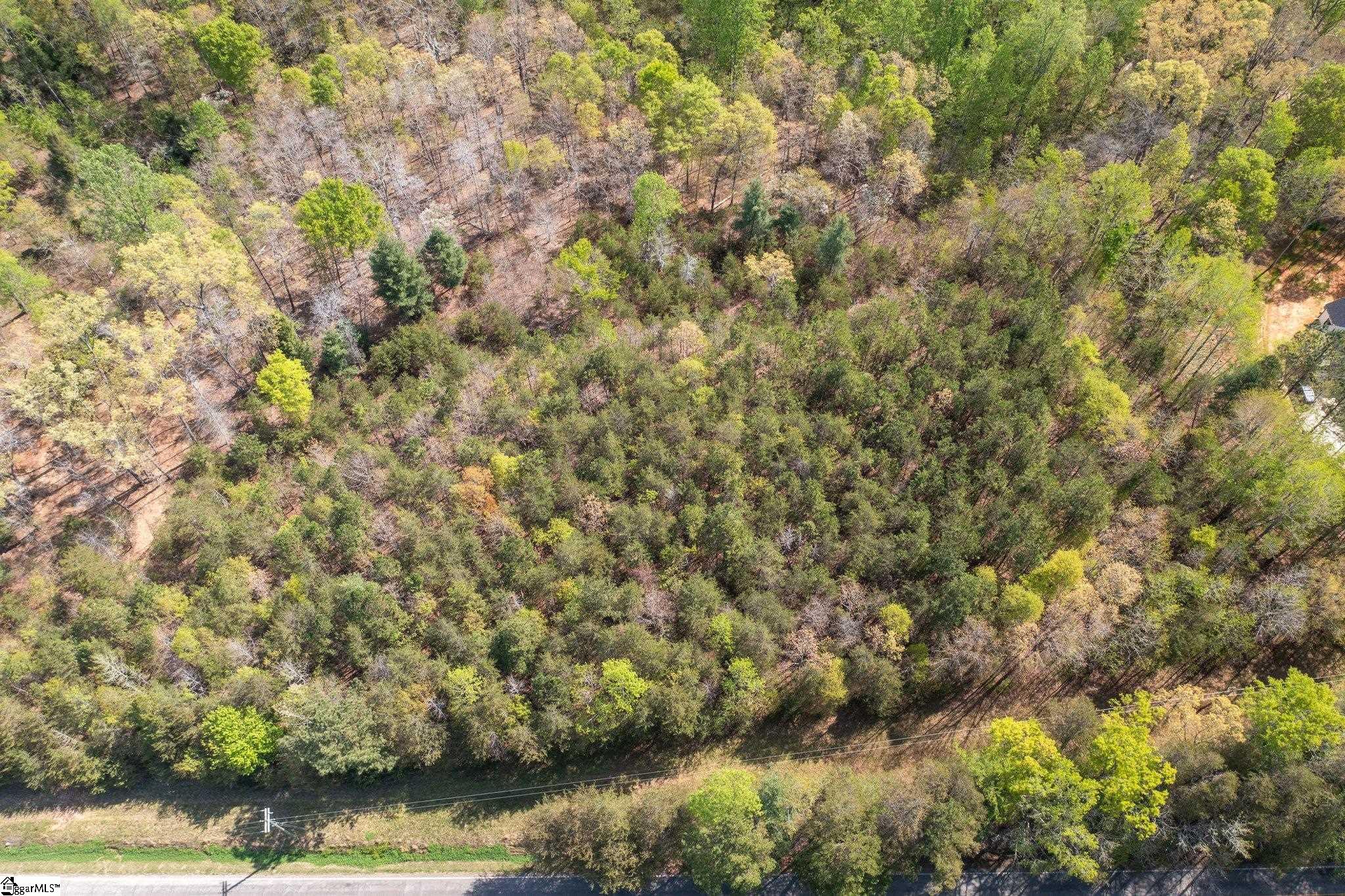 0 Hester Store Road Easley, SC 29640 - Photo 10 of 13